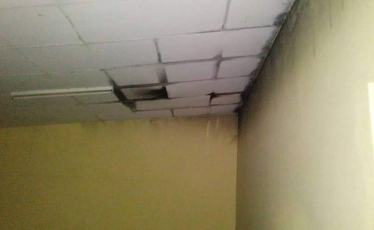 En un comunicado, el INP relató que en la media noche del sábado unas internas rompieron portones y el techo de un edificio de la Penitenciaría Nacional de Mujeres de Támara, 10 km al norte de la capital, 'para dirigirse al gimnasio donde permanecían seis privadas de libertad a quienes asesinaron'.