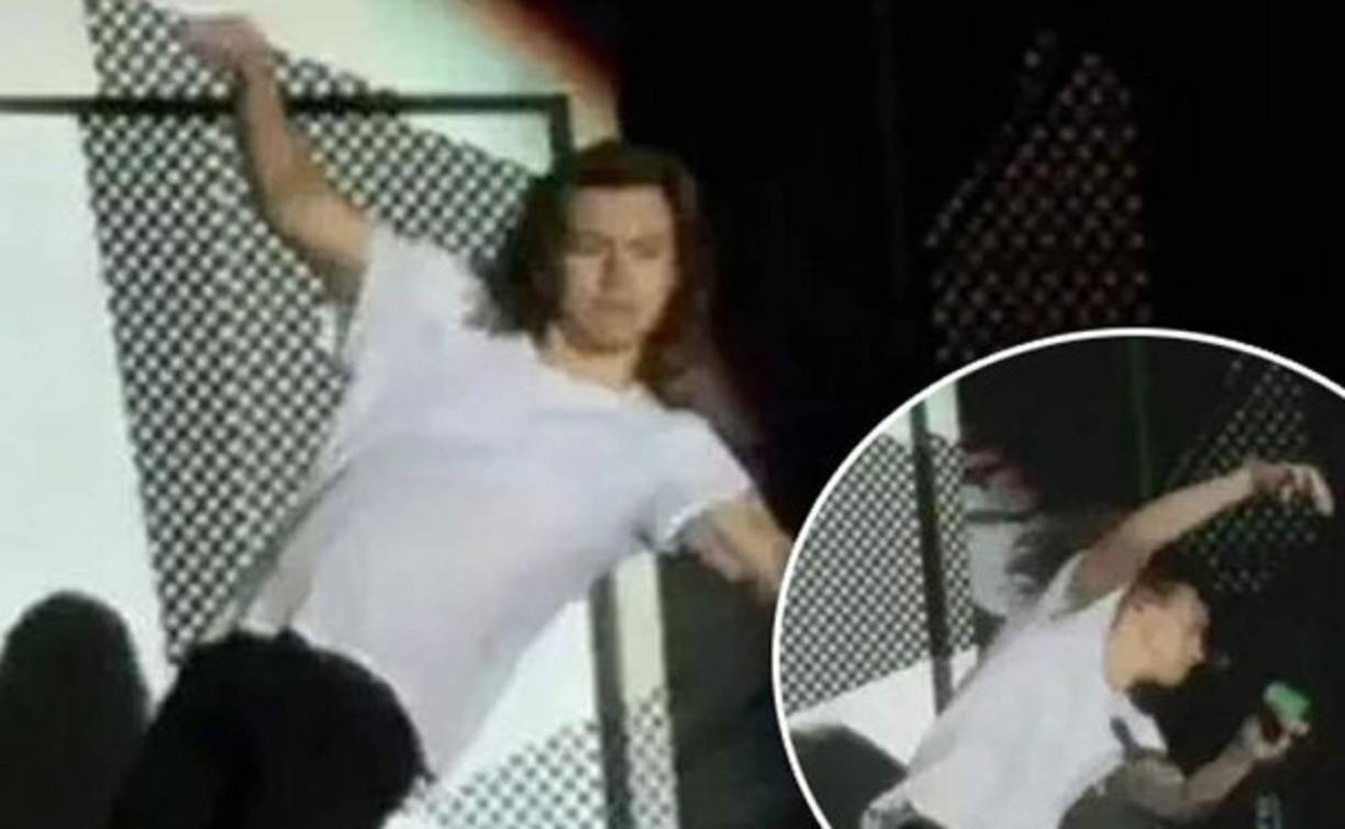 Harry Styles sufrió una caída en pleno espectáculo.