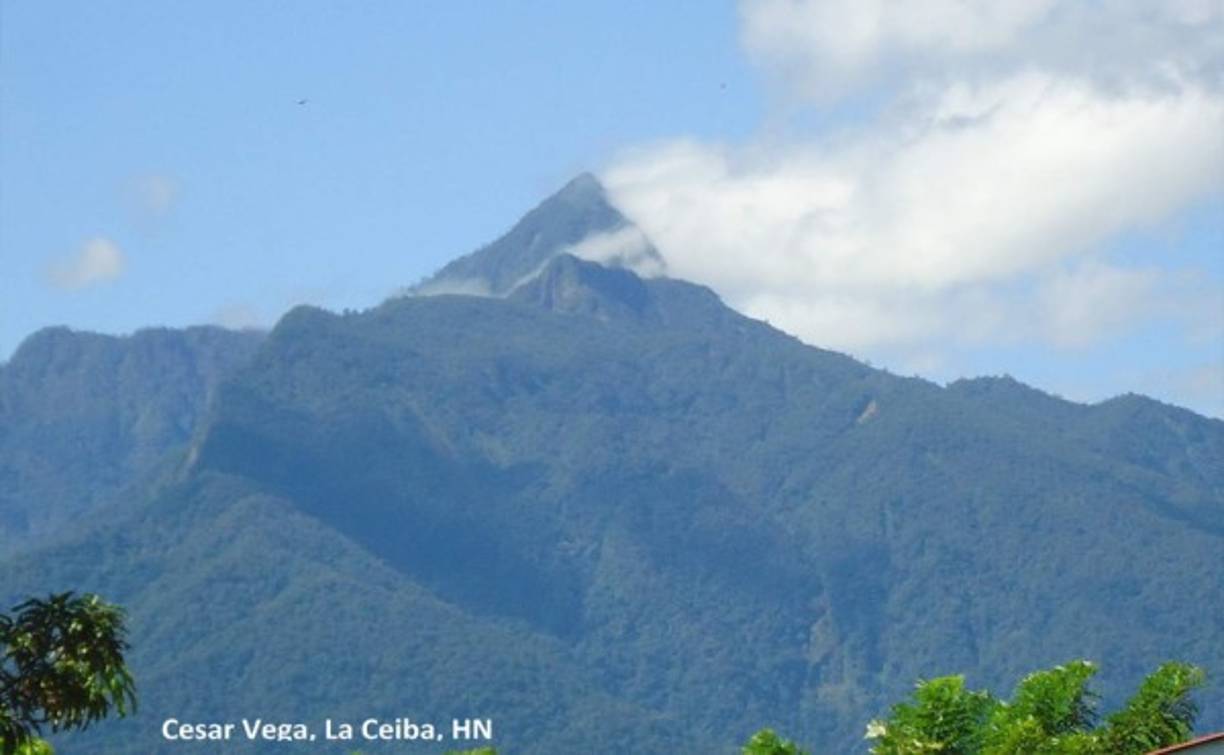 En la reunión participaron personal de la Copeco, Fuerza Aérea Hondureña, Batallón de Infantería Marina, Cuerpo de Bomberos, Comité de Emergencia Municipal, Instituto de Conservación Forestal (ICF) y Alcaldía Municipal de La Ceiba.<br/>