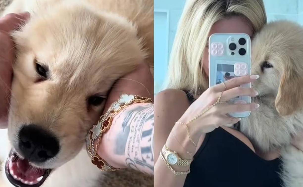 Recientemente, el cantante sorprendió a su novia con un cachorro de raza golden retriever, cumpliendo uno de los deseos más grandes de la modelo. “Por fin tengo el perro soñado durante mi infancia”, escribió ella en Tik Tok.