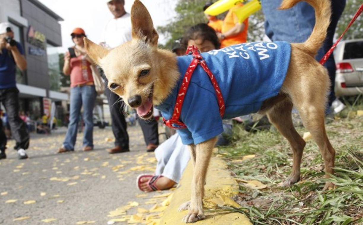 ¡No se quiso perder el evento!