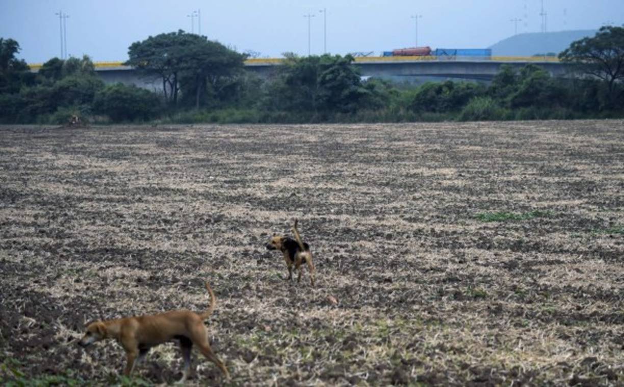 El puente de Tienditas (al fondo) aún no ha sido inaugurado. Iba a estrenarse en 2016, pero el cierre temporal de la frontera común de 2.200 kilómetros -ordenado por el gobierno de Maduro a finales de 2015 y levantado meses después- retrasó su apertura.