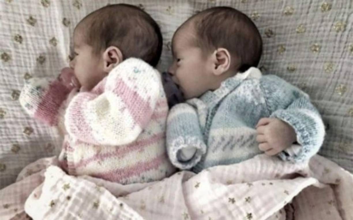 La actriz mexicana de origen polaco Ludwika Paleta y su esposo, el empresario Emiliano Salinas, recibieron a sus mellizos el 30 de mayo en San Diego, California. Los bebés nacieron un poco antes de lo previsto y los llamaron Bárbara y Sebastián.