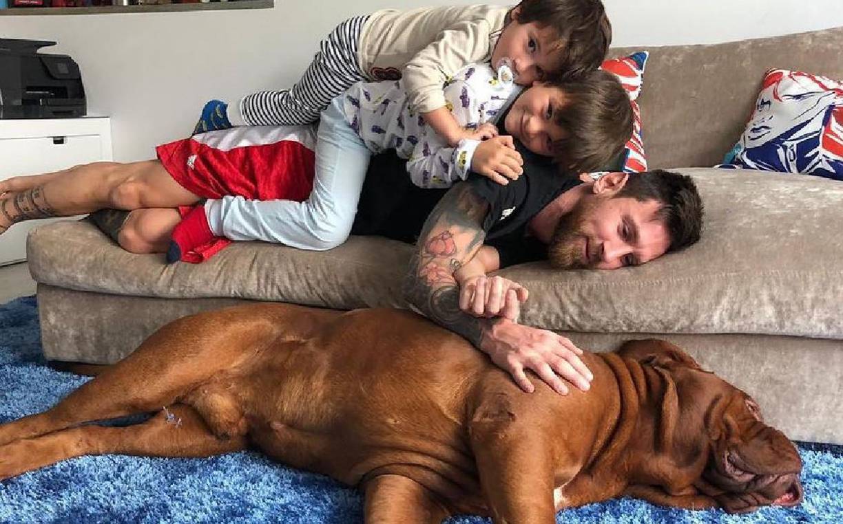 Ahora se sabe que para cuidar su salud decidieron dejarlo en España, en donde recibe trato a diario, ya que movilizarlo a otro país podría provocarle un estrés perjudicial.