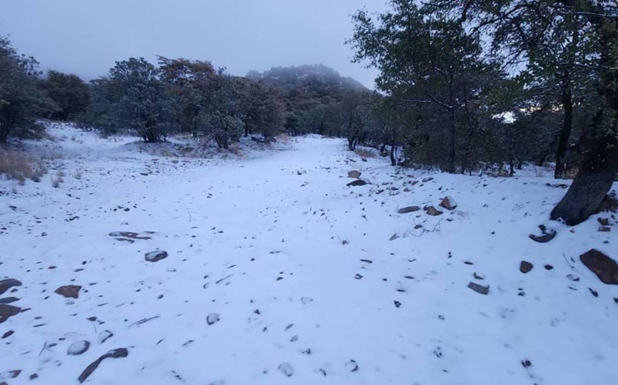 El Servicio Meteorológico Nacional (SMN) informó que la primer nevada llegará el próximo sábado 16 de noviembre.