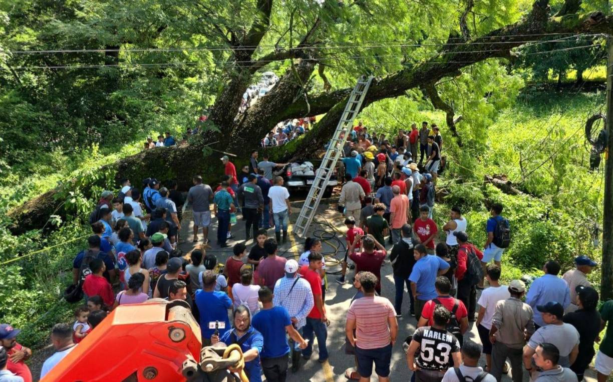 Un trágico e insólito accidente ocurrió este sábado en El Corpus, Choluteca, región sur de Honduras. 
