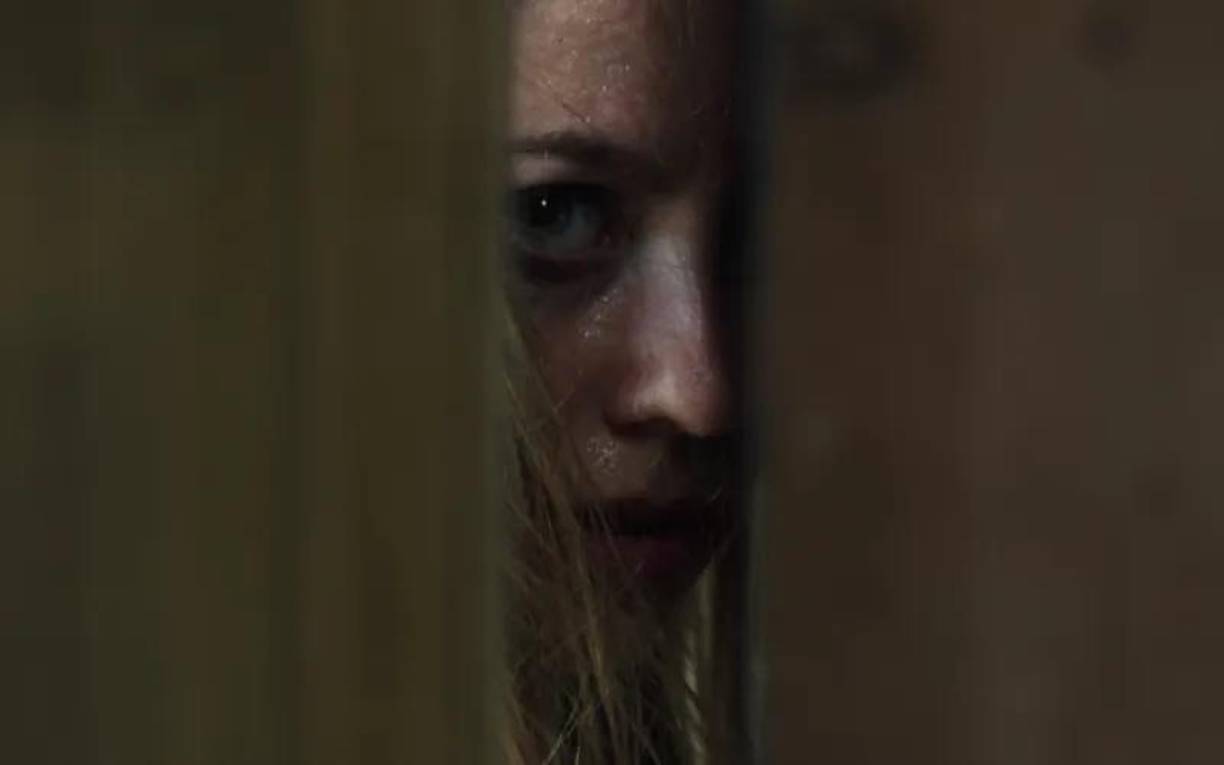 La película ha generado un gran interés en línea debido a su trama intrigante y única, en donde las dudas, el suspenso permanente y el acrecentador miedo van abrumando al espectador. 