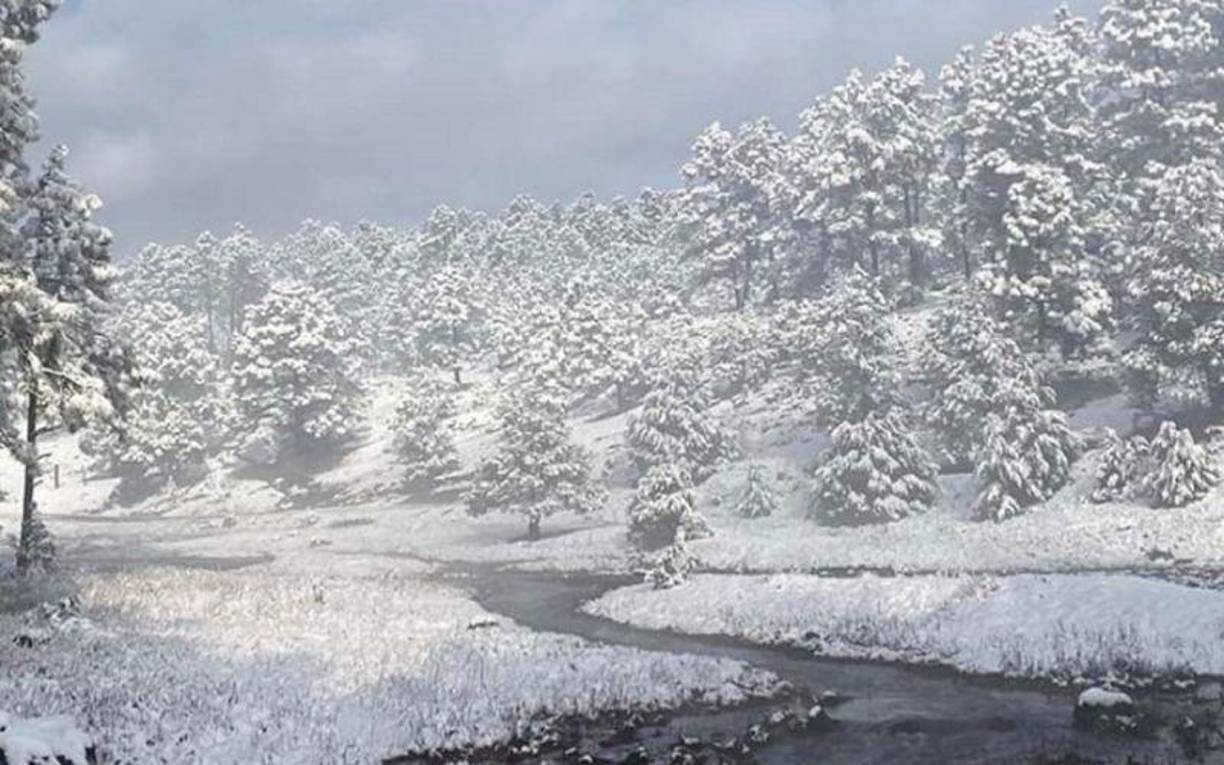 La nevada que llagará el 16 de noviembre a México es catalogada como “frente frío 10”.