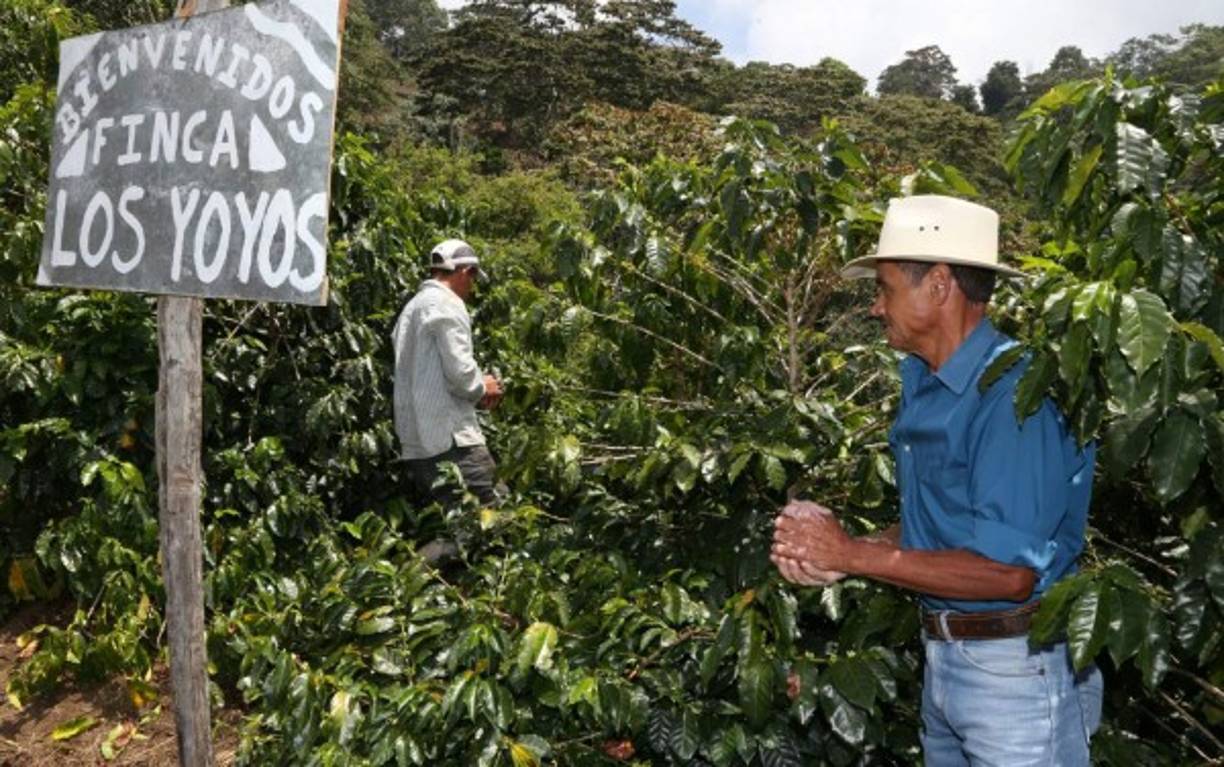 El ejemplo de don Yoyo como le conocen en la zona es de superación y ha motivado a otras personas en la zona.