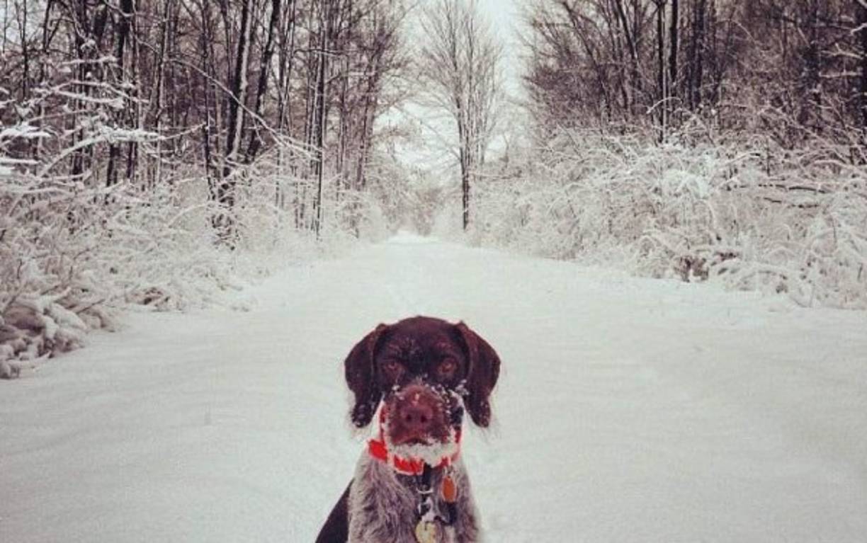 La tormenta invernal Bozeman se trasladó desde el Valle de Ohio al Noreste del país este martes.