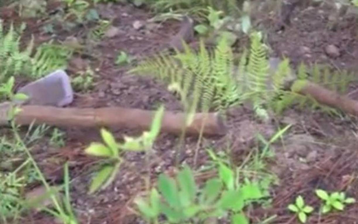 Herramientas que se encontraron en las cercanías de la fosa clandestina donde estaban los cuerpos de las tres jóvenes. 