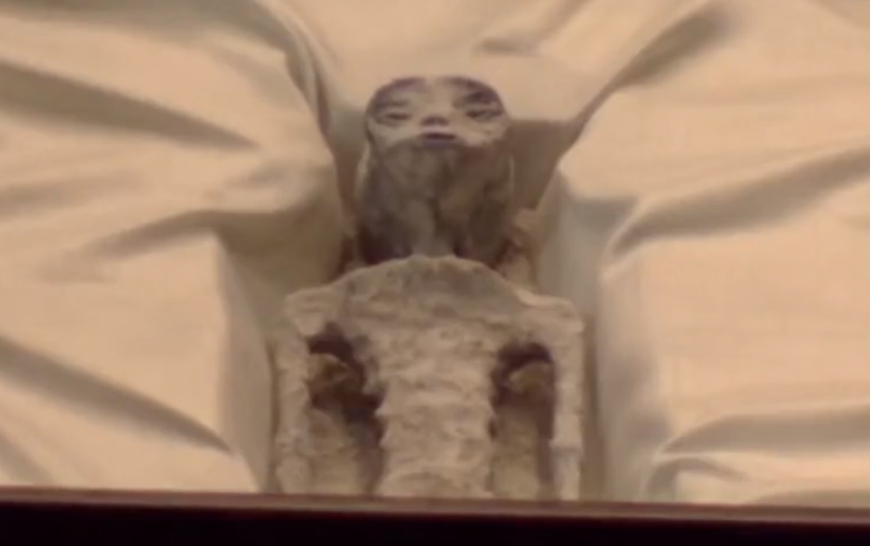 Destacó que “no hay armonía atómica ni lógica evolutiva” y que esos “seres” jamás hubieran podido caminar, “ni siquiera pararse con ese tipo de articulaciones planas, rotas, pegadas, mal ejecutadas”.