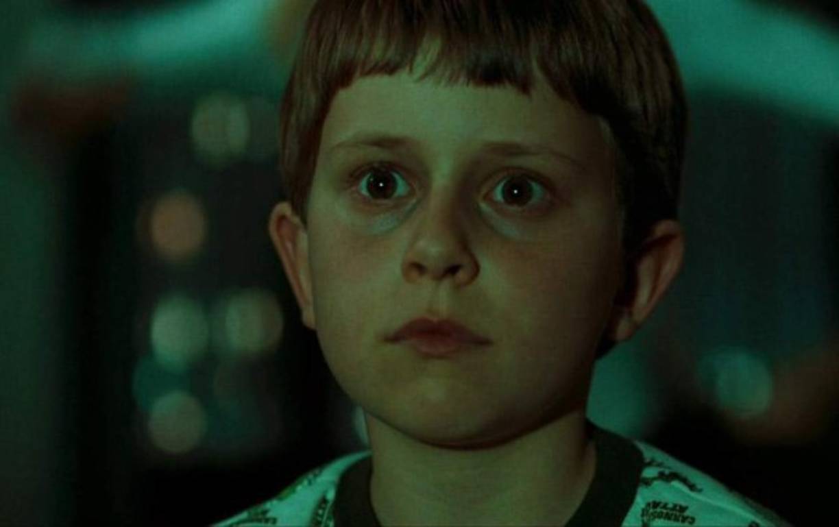 La película era un remake de la película de terror japonesa 'Ringu', que a su vez se basó en la novela de suspenso con el mismo título.