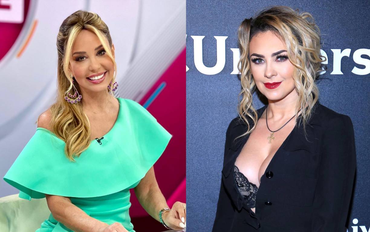 La actriz mexicana Aracely Arámbula arremetió recientemente en contra de su expareja y padre de sus dos hijos, Luis Miguel, al decir ante los medios de comunicación que el artista es un “padre ausente” y también un “deudor alimentario”. Estas declaraciones corrieron como pólvora y se hicieron virales en redes sociales, en donde la mayoría expresó su apoyo a la actriz también conocida como “La Chule”. Sin embargo, la periodista Myrka Dellanos, quien vivió un intenso romance con Luismi hace varios años, decidió dar su opinión al respecto. 