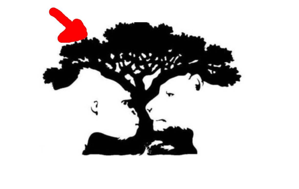 Si lo primero que viste en la imagen fue el árbol , esto significa que eres una persona muy razonable. Además, cuentas con una gran capacidad para resolver problemas y siempre te gusta tomar el liderazgo. 