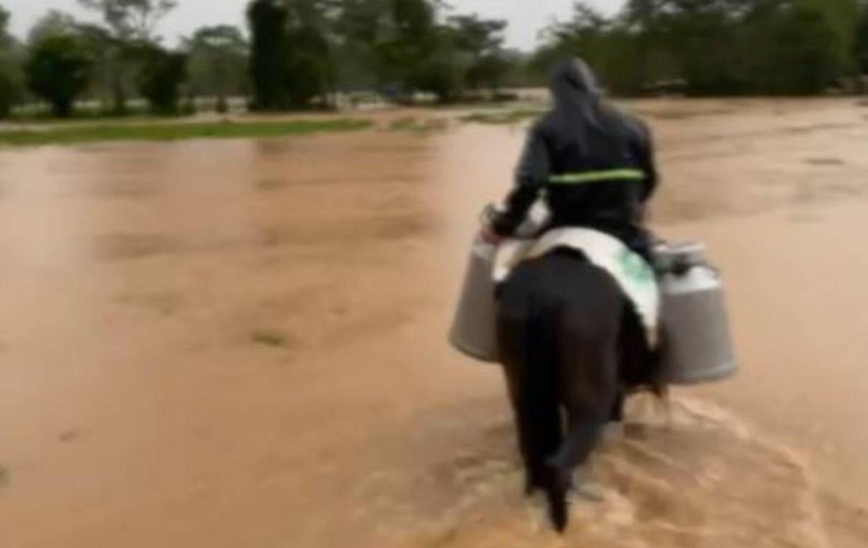 En otras zonas la leche se transforma en lácteos como queso y mantequilla, pero la falta de energía también les ha ocasionado pérdidas.