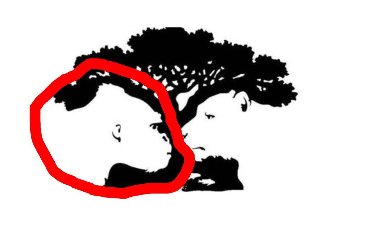 Si te llamó la atención el gorila significa que no te gustan que te exijan mientras la otra persona no se esfuerza igual que tú. Siempre buscas adquirir nuevos conocimientos para superar al resto.