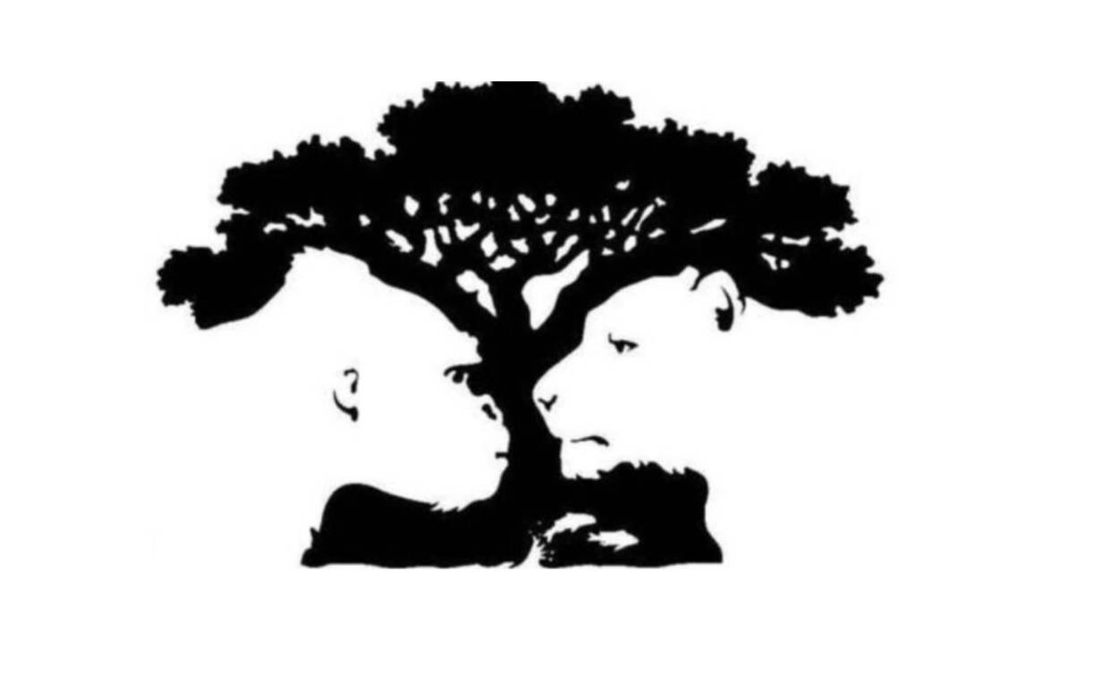 ¿Qué figura viste primero? Realiza este divertido test psicológico y descubre algo de tu personalidad