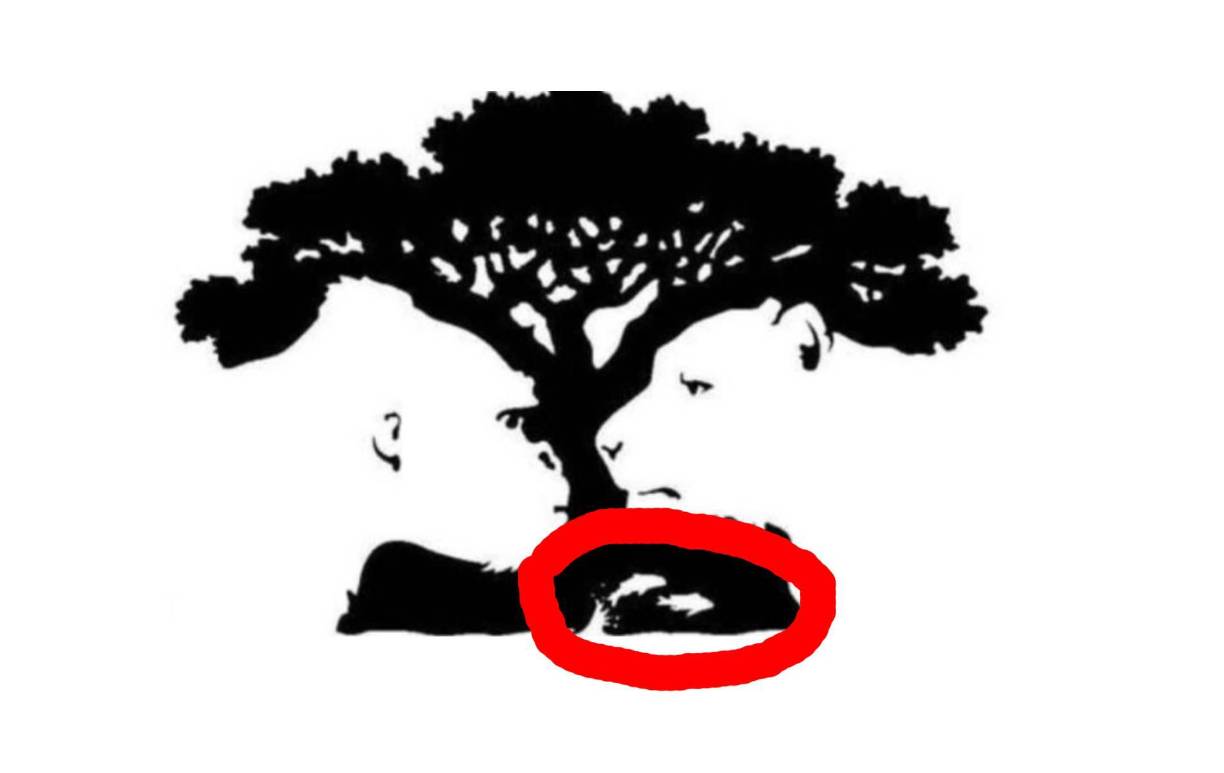 Si los peces llamaron tu atención en la imagen, se puede decir que eres una persona que se deja llevar fácilmente. 