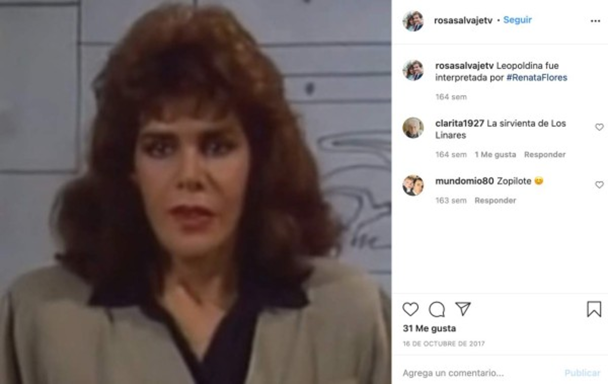 Después de 'Rosa salvaje', Renata participaría en exitosas telenovelas como 'Mi querida Isabel', 'La usurpadora', y 'Rosalinda'. De igual manera, formó parte del elenco de telenovelas infantiles y juveniles como 'Carita de ángel', '¡Vivan los niños!', 'Rebelde' y 'Lola, érase una vez'.<br/><br/>