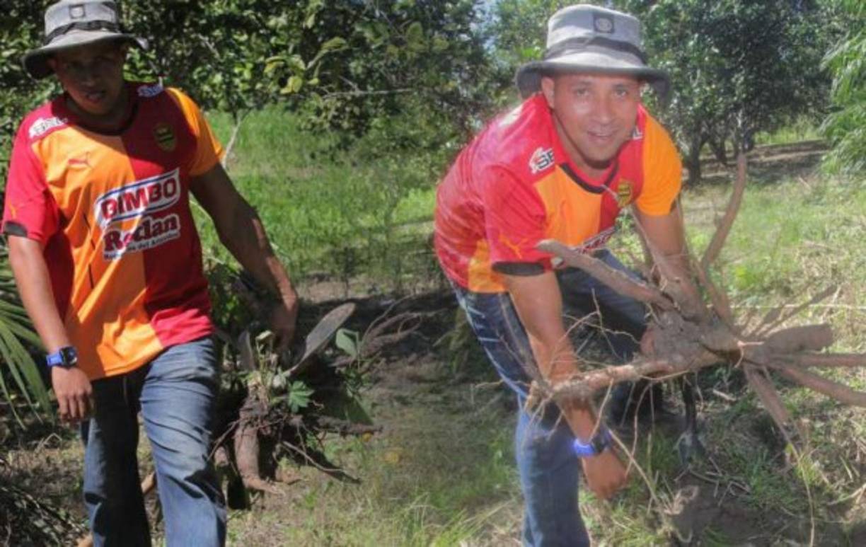 Cruz Ávila, un derrame cerebral le provocó su salida del fútbol. Era un defensaba que comenzaba a destacar.