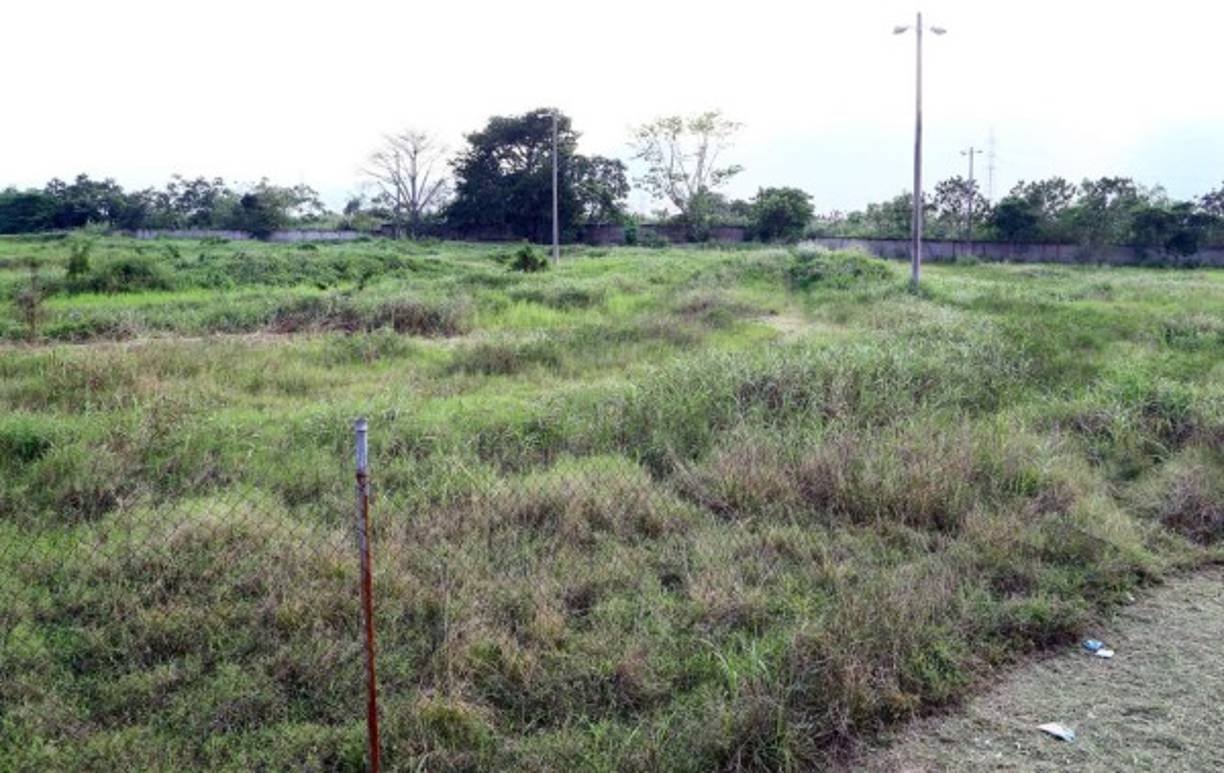 Algunos sectores del complejo están enmontañados, lo que obliga a muchas personas a irse del lugar.