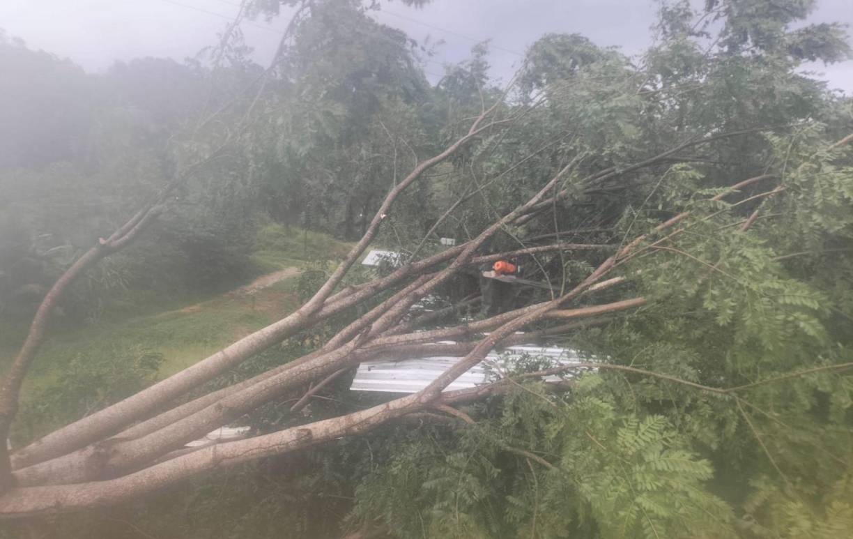 Más de 2,000 personas a nivel nacional permanecen en refugios temporales, tras perder sus hogares y pertenencias por la tormenta Sara.