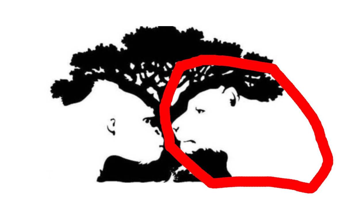 Si lo primero que viste fue el león, eres una persona que tiene miedo a superar sus metas y no tienes ese impulso para poder lograrlos. Pide consejos y aprende a escuchar.