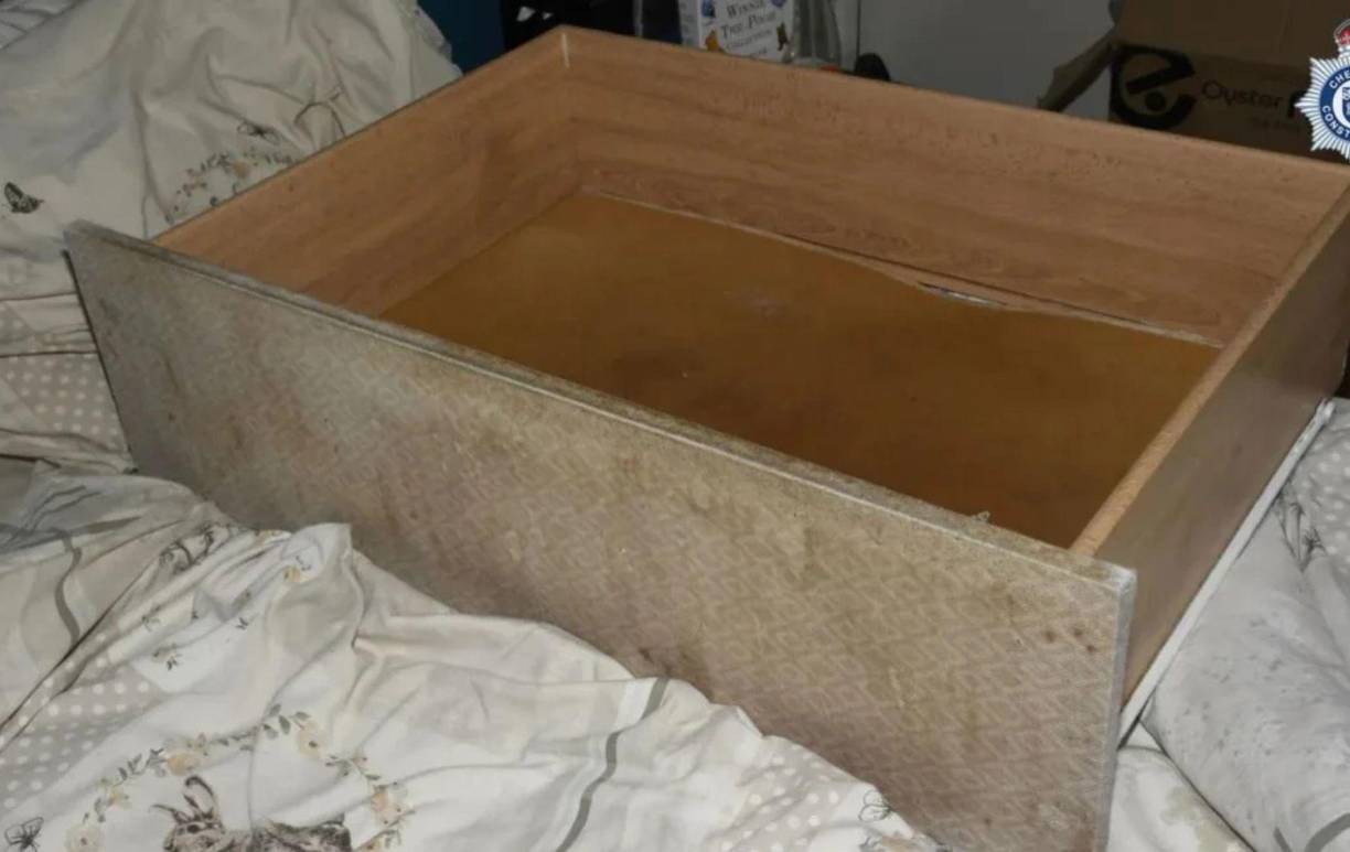 “Me quedé extremadamente conmocionado al ver a la bebé mirándome sentada en un cajón. Me miraba fijamente y se mecía hacia adelante y atrás”, relató un trabajador social.