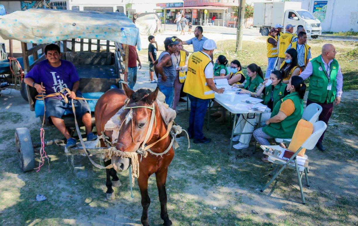 Actualmente, en la capital industrial circula una cantidad indeterminada de carretas, por lo que una base de datos de registro es necesaria, de acuerdo a lo anunciado por la alcaldía sampedrana. 