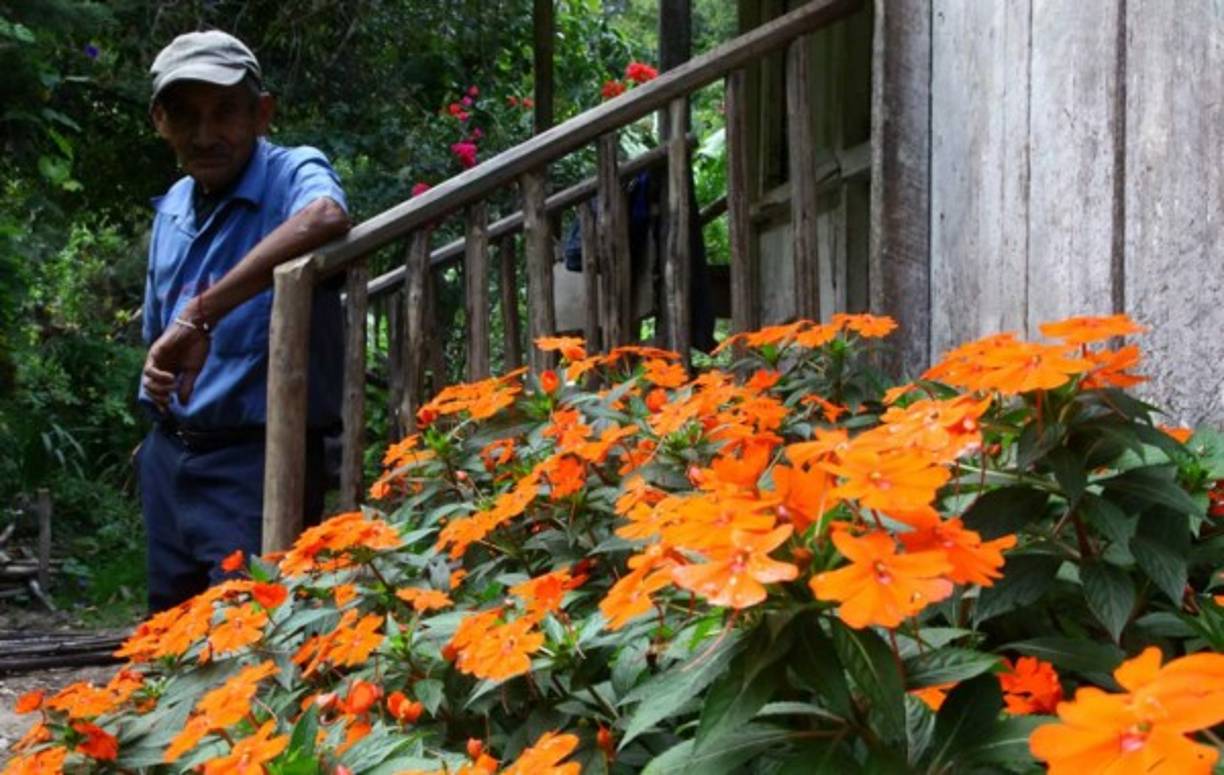 Los habitantes de este lugar se dedican a la cosecha de productos básicos y también a la siembra de flores.