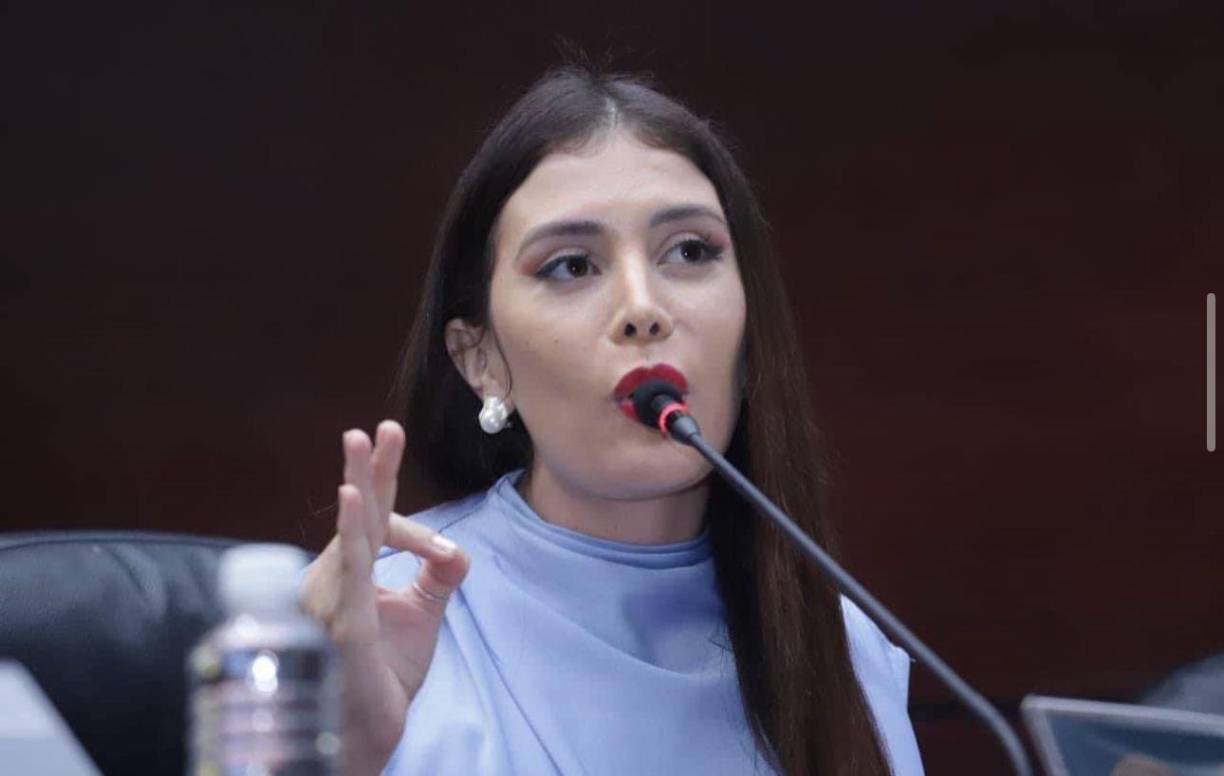 La congresista Iroshka Elvir se pronunció a través de un tuit y explicó las razones de su seña a los aficionados que vociferaban en su contra.