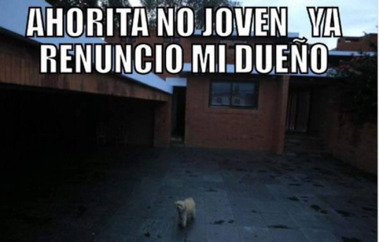 Los medios de comunicación acudieron esta mañana a la residencia de Otto Pérez Molina y solo encntraron su mascota.