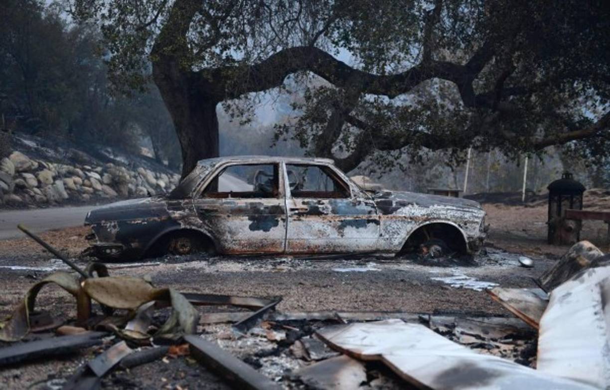 Las autoridades consideran que los fuegos podrían tener un coste económico de 17,5 millones para el sur de California, donde numeroso cultivos de cítricos han sido reducidos a cenizas.