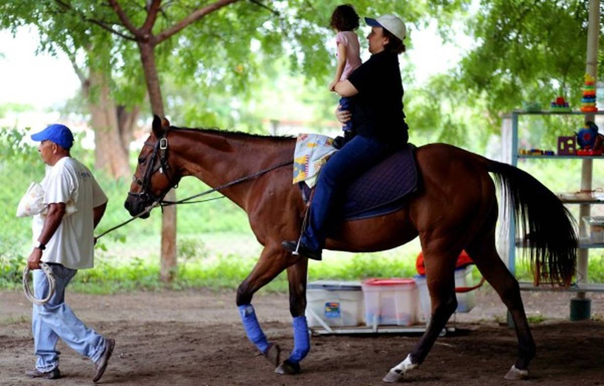 Cada caballo es entrenado y balanceado para convertirse en un equino terapista.
