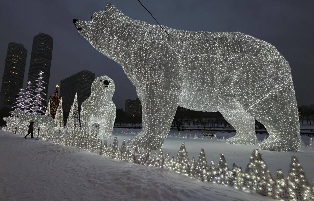  Más de 4.9 mil decoraciones luminosas han En el centro de la capital y en las zonas periféricas se han instalado centros de vigilancia, afirmó el vicealcalde Biryukov.