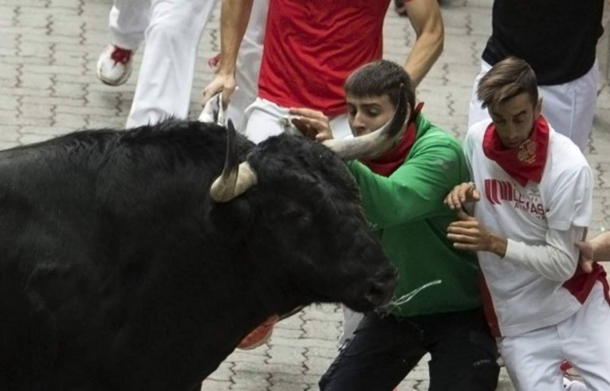Los encierros están programados por ocho días (del 7 al 14 de julio) y dejarán ver a seis toros bravos y un grupo de mansos recorre las calles de la ciudad acompañados de miles de corredores.