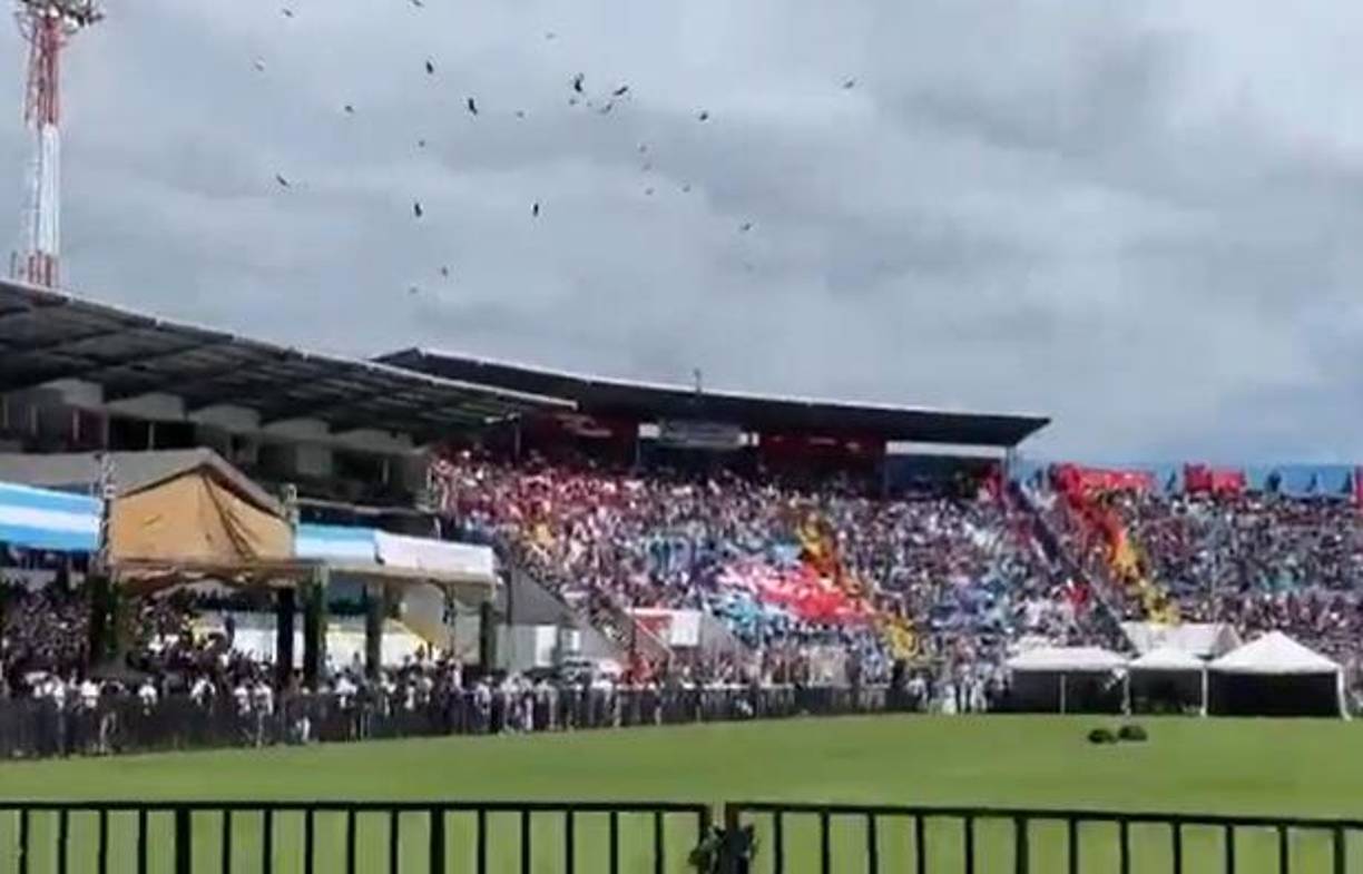 Y es que un grupo de aves de rapiña (zopilotes) sobrevolaron el sector de sombra norte, donde estaban los seguidores del partido oficialista. 