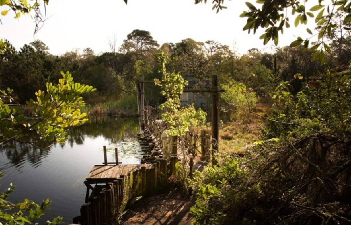 Así lucen las atracciones abandonadas.
