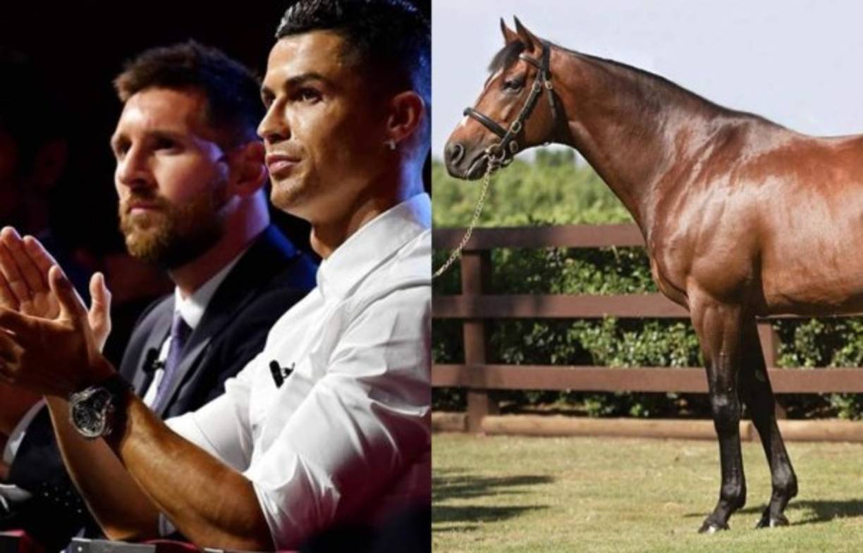 ¿Un caballo valiendo más que los cracks del fútbol como Cristiano Ronaldo y Lionel Messi? Aunque parezca increíble, es algo cierto. Te contamos a continuación todos los detalles.