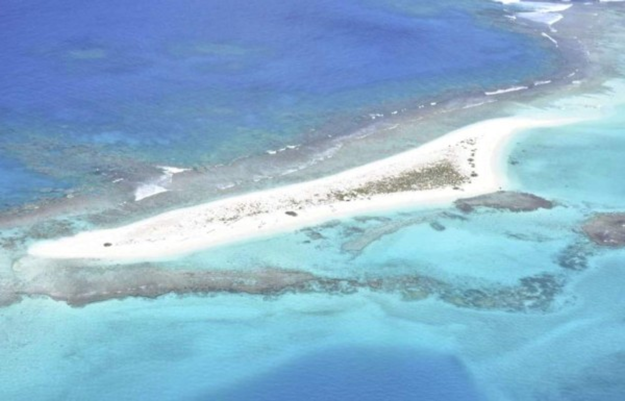 Los huevos de las tortugas en la arena quedaron bajo el agua tras las marejadas que cubrieron el islote.