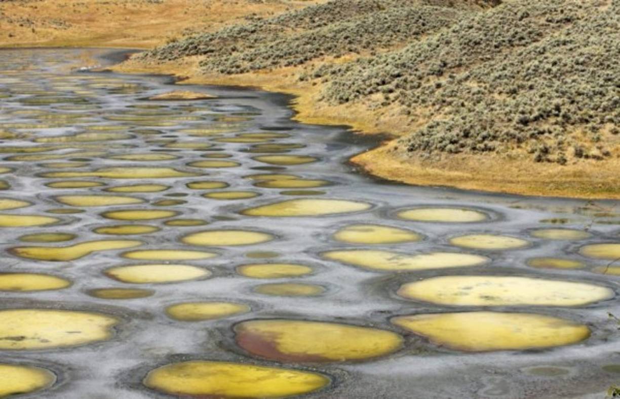 Spotted Lake, Canadá ► Este lago se encuentra en Columbia Británica, cerca de la ciudad Osoyoos. Su nombre se traduce como 'lago con manchas', y los nativos de la tribu Okanagan le dicen Kliluk y le atribuyen cualidades míticas. El aspecto inusual del lago se explica con alta concentración del sulfato de magnesio, plata, calcio y titanio. Pero sin el permiso del jefe de los nativos locales, acercarse al lago es imposible, por eso los turistas prefieren fotografiarlo de lejos.<br/>