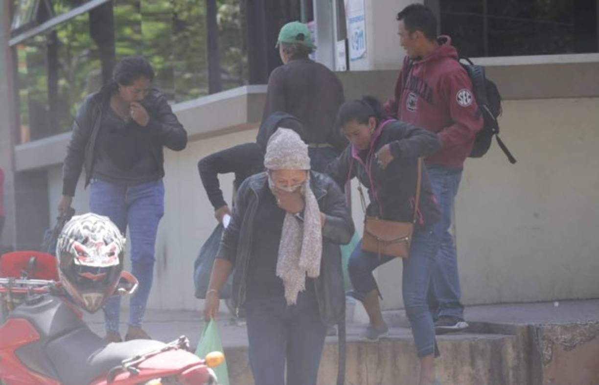 Cuatro jóvenes fueron asesinados en la madrugada de este miércoles en el municipio de Lepaterique, Francisco Morazán.