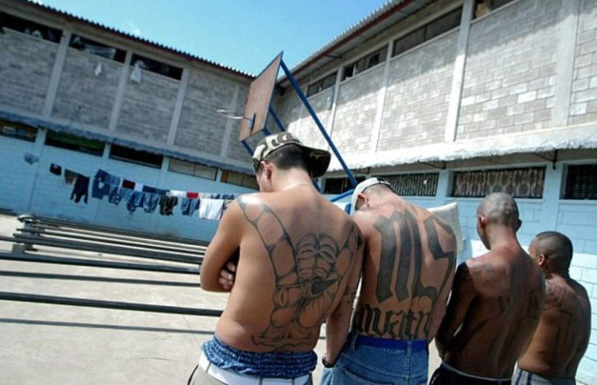 El Gobierno de Donald Trump ha ordenado una ofensiva contra la Mara Salvatrucha en Nueva York y Washington D.C., donde pandilleros de la MS-13 han ejecutado escalofriantes crímenes.