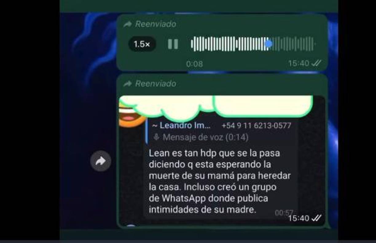 “Obvio, pero yo no tengo lugar chicos. Yo soy pobre y no lo voy a negar, soy pobre. Mi mamá tiene toda la fortuna, tengo que esperar hasta que se muera...”, Leandro evidenció en este mensaje un posible motivo para el crimen.