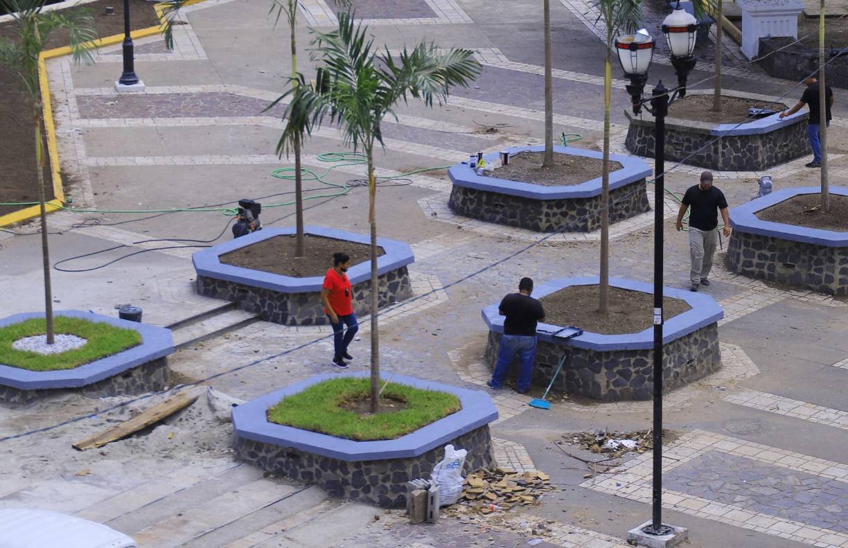 Las jardineras están siendo pintadas y en ellas se está extrayendo el suelo inerte por uno fértil, además se le pondrá grama y palmeras Miami dice David Portillo, director de Protección y Control Ambiental municipal. 