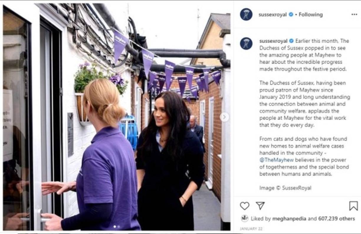 La publicación fue hecha días después de la visita de Meghan a un refugio de animales en Londres, recordemos que para ese entonces los Sussex ya estaban en Canadá mientras que la Familia Real lidiaba con el escándalo del Megxit y parece que la ex actriz no quería a nadie hablando de otra cosa que no fuera ella.