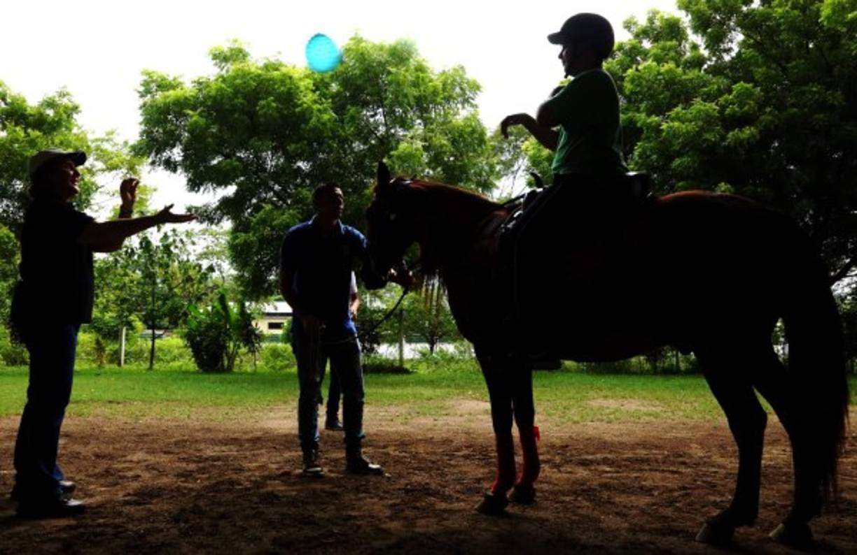 Jorge Eduardo Sierra es uno de los beneficiados con la terapia que se hace con caballos.