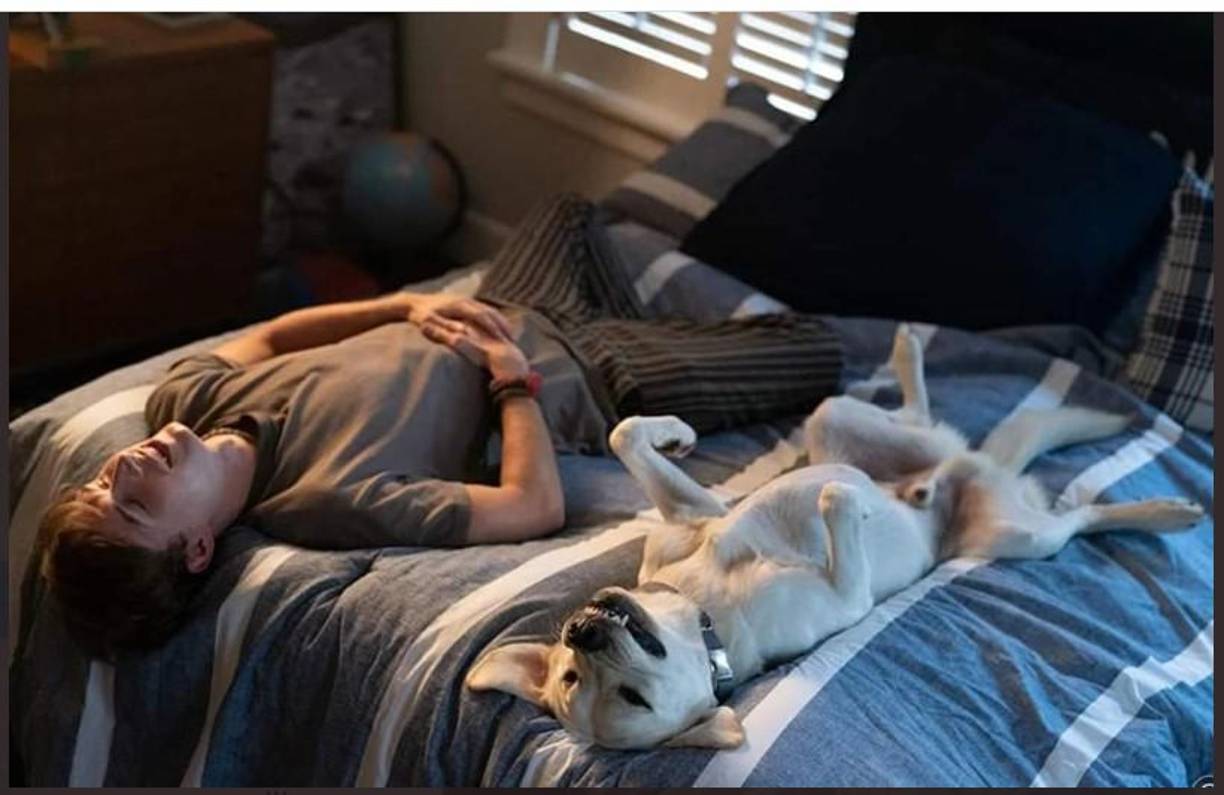 Fielding adoptó a Gonker luego de la separación con su pareja y la <b>muerte de su hija por problemas cardíacos</b>.