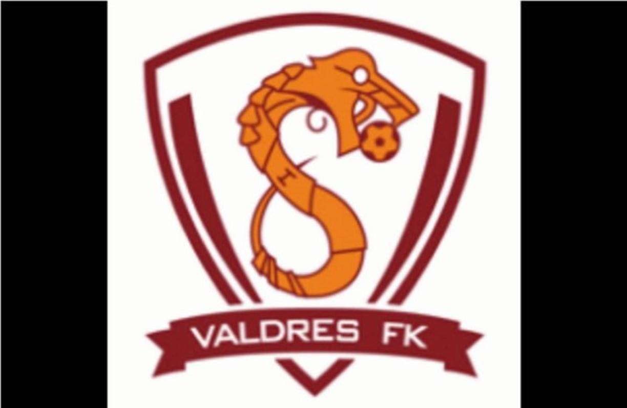 Valdres FK - El logo de este equipo de la segunda división de Noruega tiene forma entre Dragón y Serpiente, qué opinan.